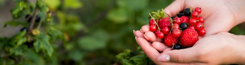 ВЫРАЖЕНИЕ «НЕЧИСТЫХ НА РУКУ КАРАЕТ ЛЕТО» СЛЕДУЕТ ПОНИМАТЬ БУКВАЛЬНО!