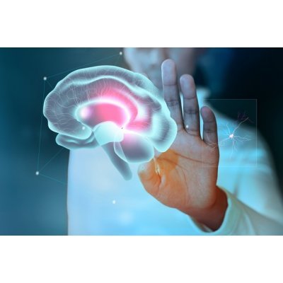 Новый инструмент искусственного интеллекта может помочь предсказать лучшие методы лечения колоректального рака