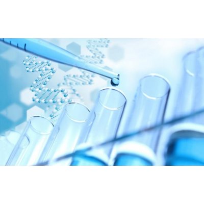 ЕМА возможно утвердит новый продукт генной терапии Bluebird Bio