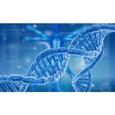 Boehringer ingelheim и Еnara bio исследуют «темные антигены»
