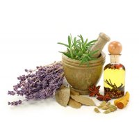 Instrumentele de origine naturală